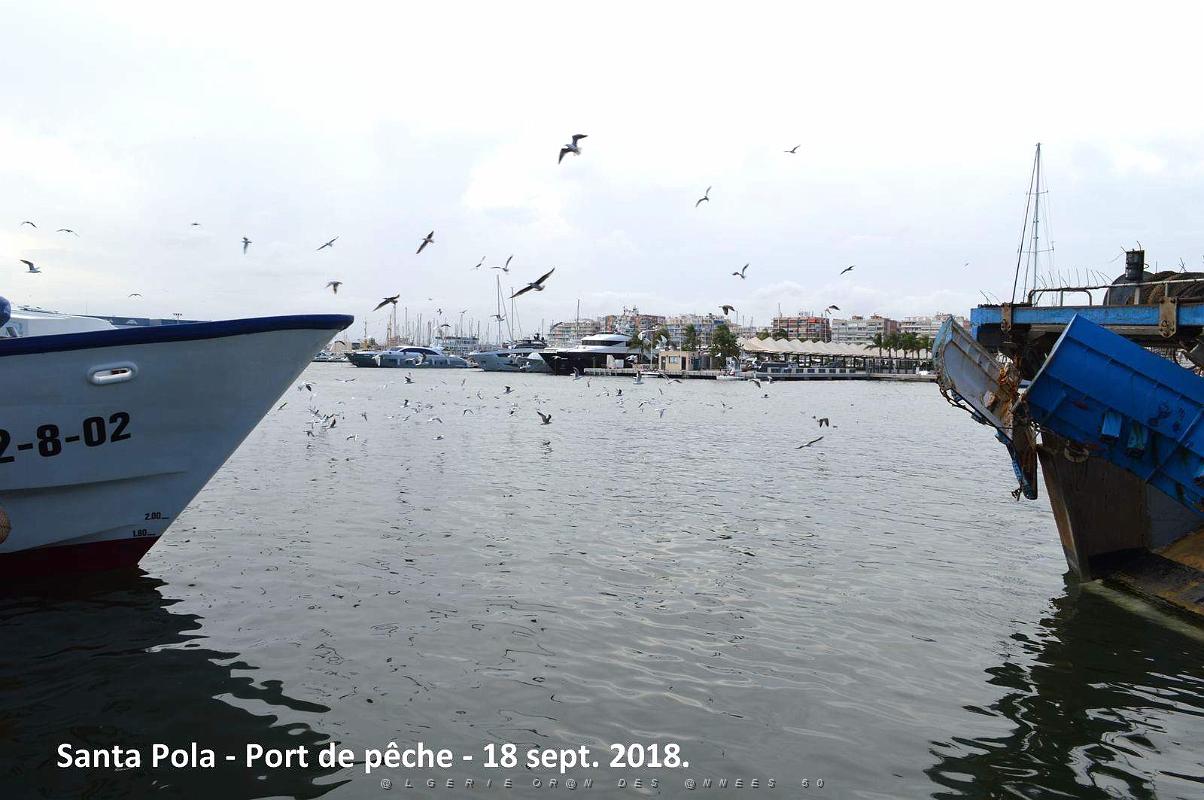 11 SANTA POLA PORT DE PECHE (77).JPG